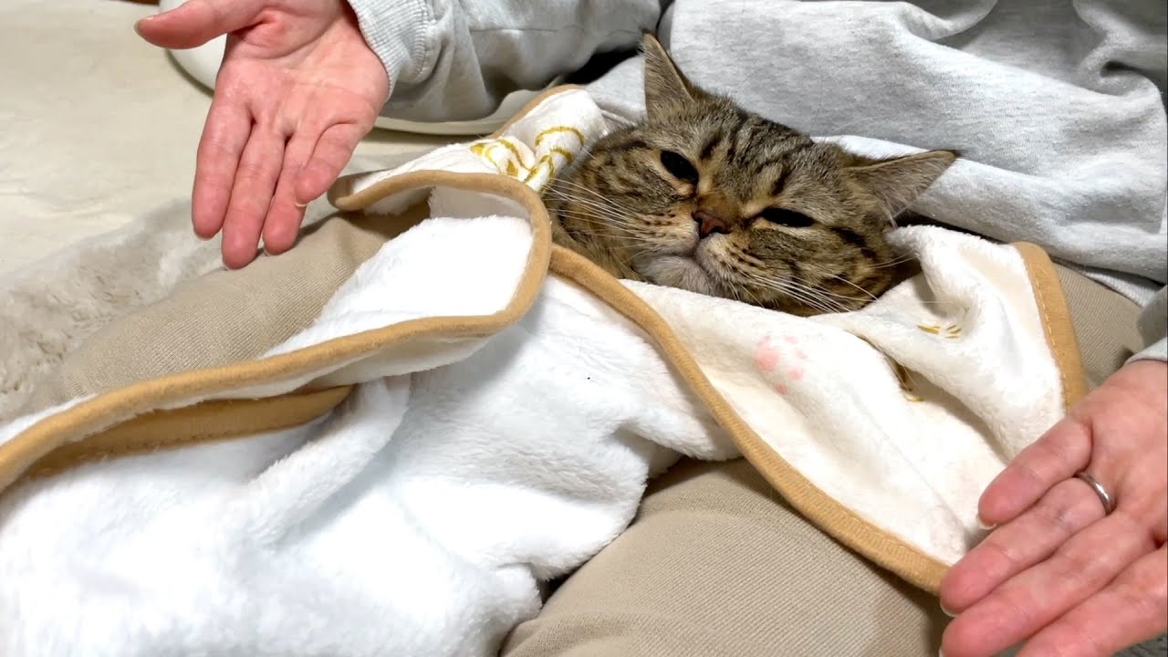 メルクレープ、お待ちどおさま！