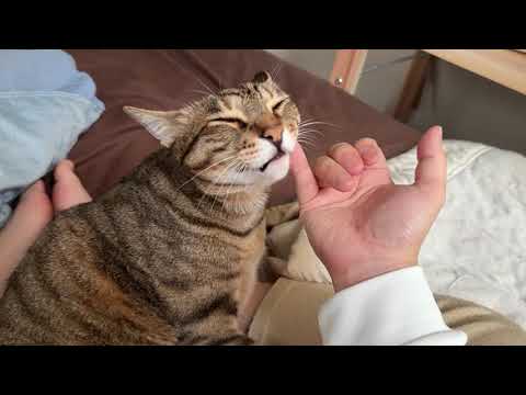 朝からイチャイチャしすぎているかもしれません。