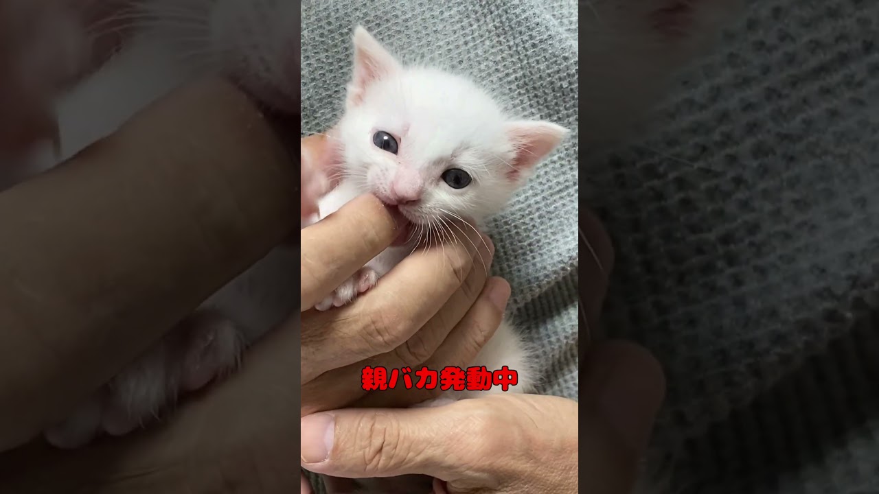 赤ちゃんの頃からパパに抱っこされ続けた結果…