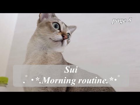 【シンガプーラ】早起きすいのモーニングルーティン