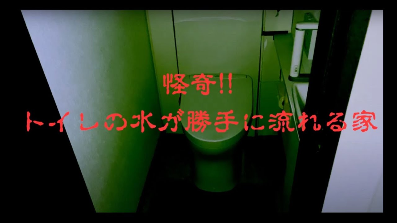 【恐怖の猫映像】誰もいないはずの深夜のトイレに…灰色にうごめく物体【心霊番組】