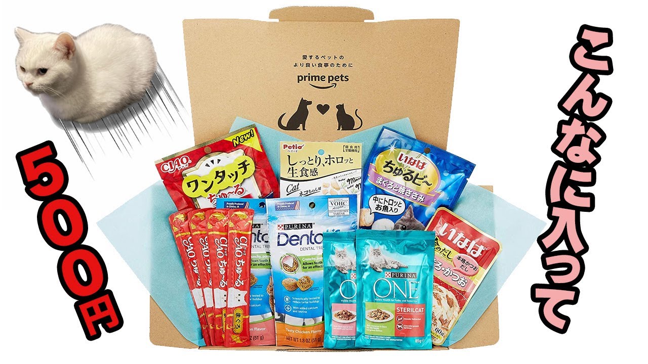 Prime Pets Boxの中身が豪華！【スコティッシュフォールド】