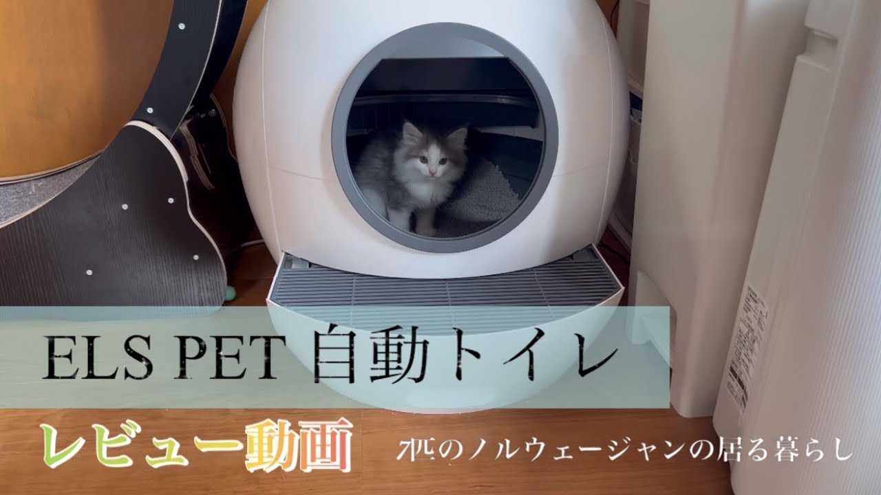 猫の自動トイレを買ってみたPart2【ノルウェージャンフォレストキャット】