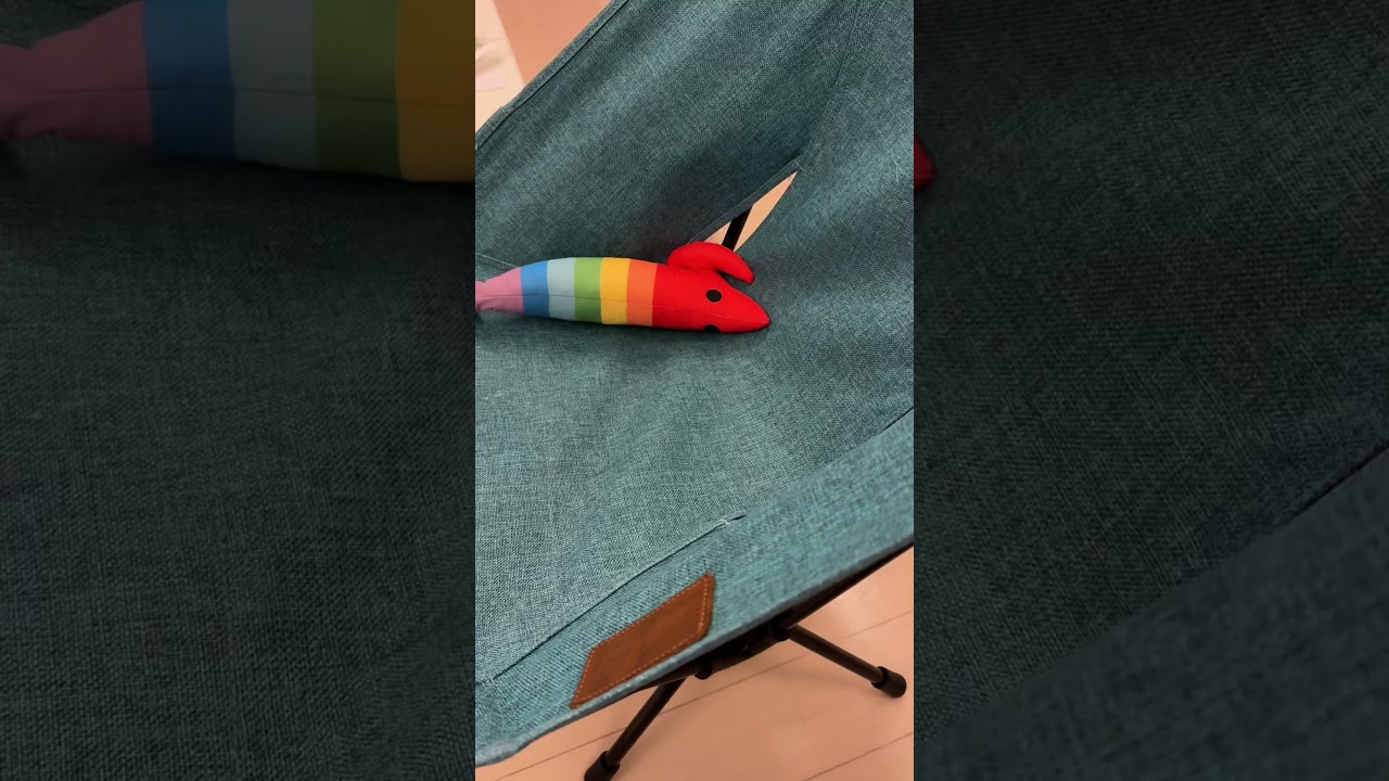 悲しい顔をして諦めてしまう猫 #shorts
