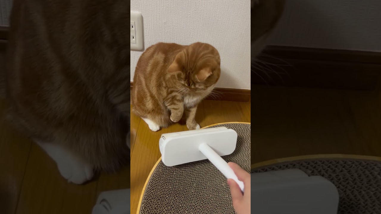 コロコロってなんだー？？