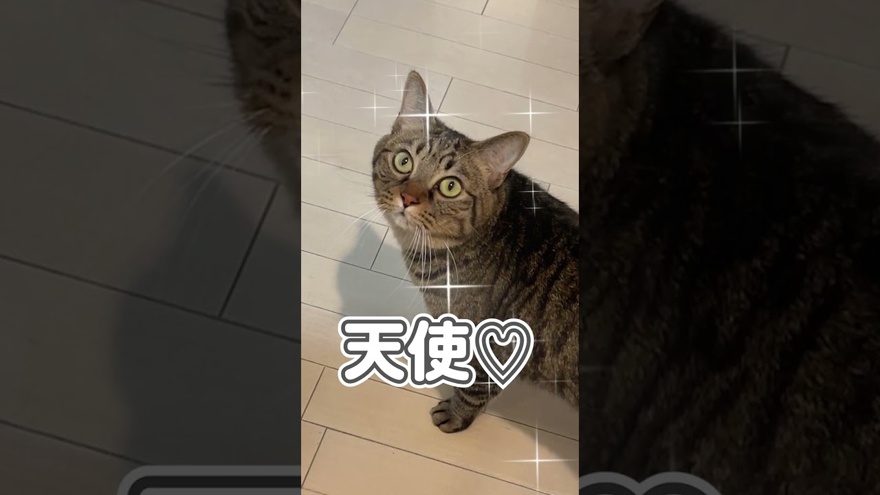 えぇ!? そっちだったの…