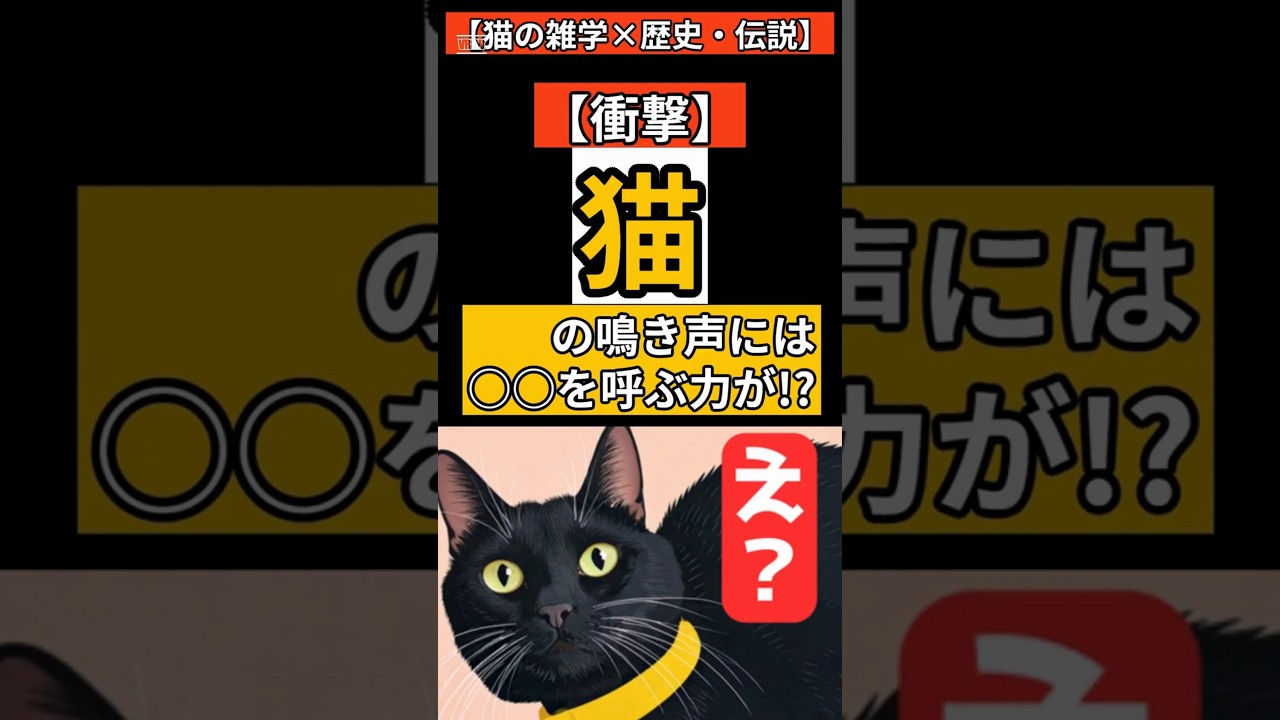 【皆が知らない猫の言い伝え】猫の鳴き声には○○を呼ぶ力が!?　#shorts