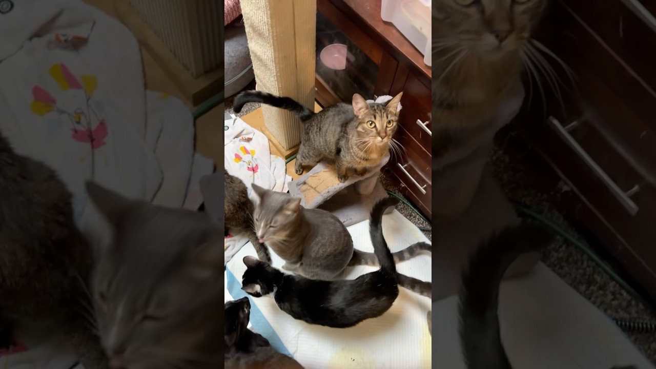 Around here you’ll find plenty like you!🤣