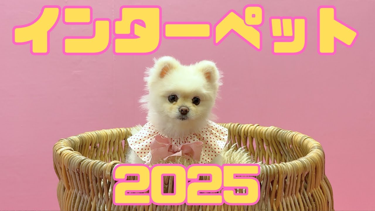 インターペット2025で写真を撮ってもらいました