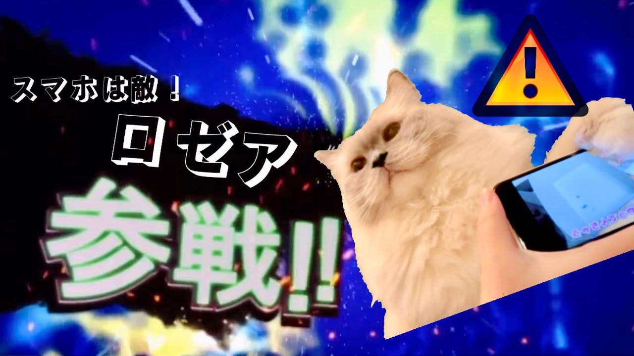 【猫×諸悪のブツ📱】チョイおふざけ込ﾐ𓇼 子猫の仮名が決まりました𖥧𖥣𖡡𖥧 【裏】 #ラグドール #マンチカン