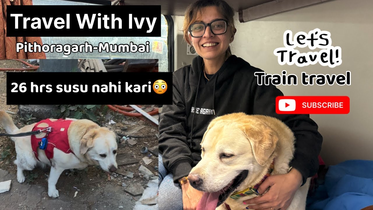 She did not pee for 26 hours 😹 | Pahad se Mumbai tak ka safar #vlog #labrador #solotravel