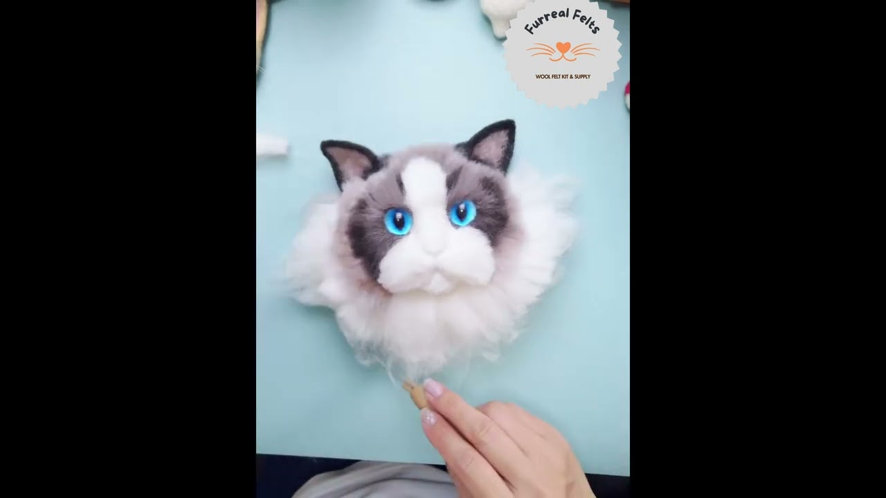 Realistic needle felted cat series: Ragdoll cat part 4