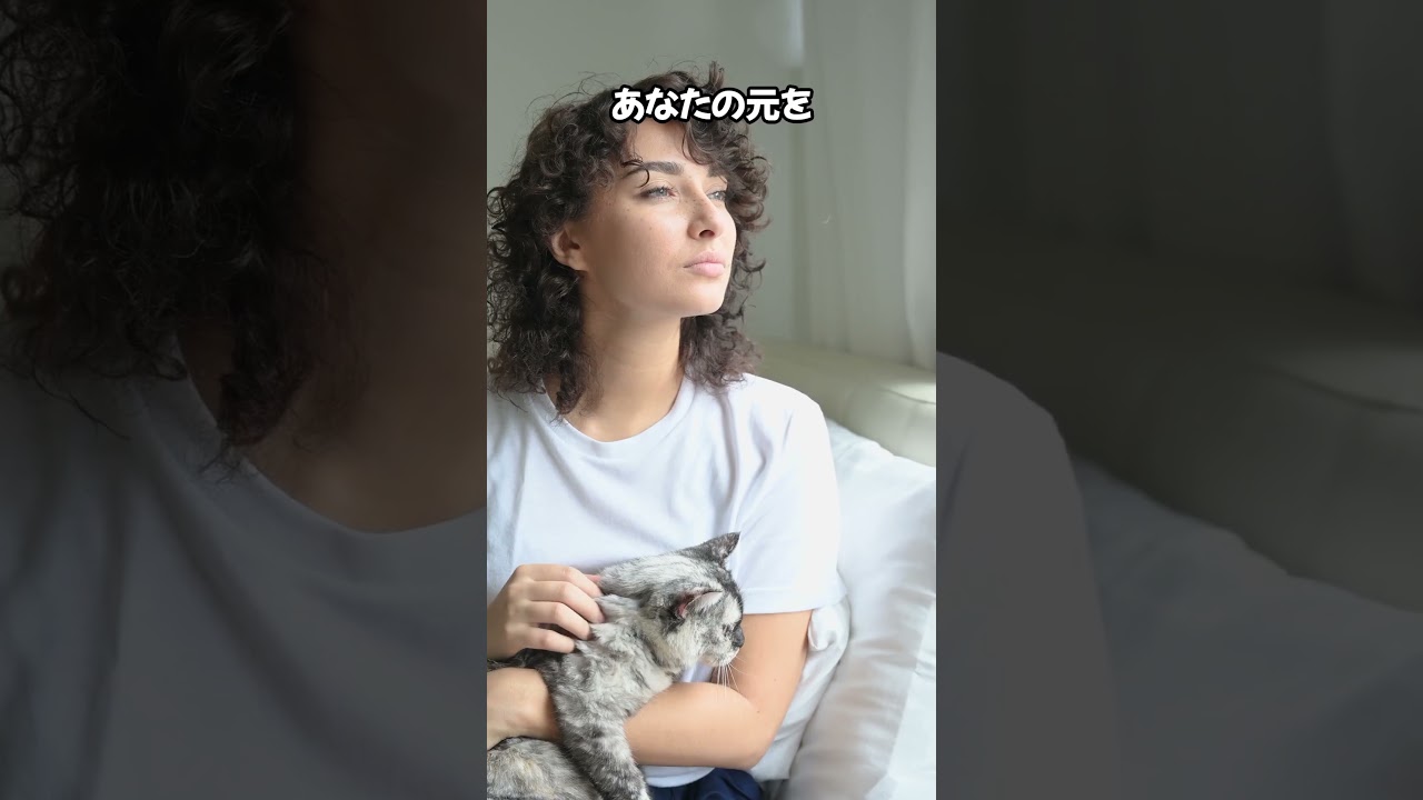 猫に支配される日常、実は始まってる…😏 #猫のいる暮らし #猫のいる生活 #ねこのいる幸せ #ねこ大好き #cat #猫動画