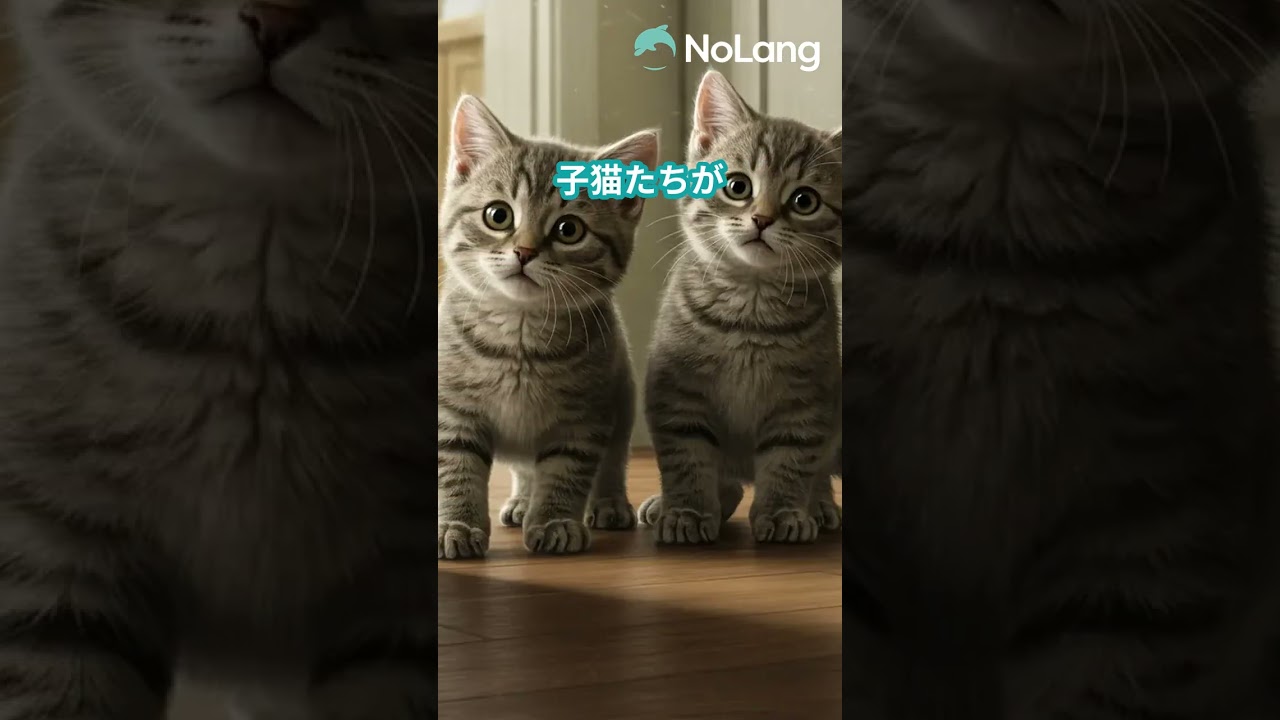 【奇跡の光景】母猫、子猫のために生まれて初めてのカレー作り！ #shorts  #猫 #子猫 #猫動画 #猫のいる暮らし #猫好きさんと繋がりたい #ねこ部 #可愛い猫