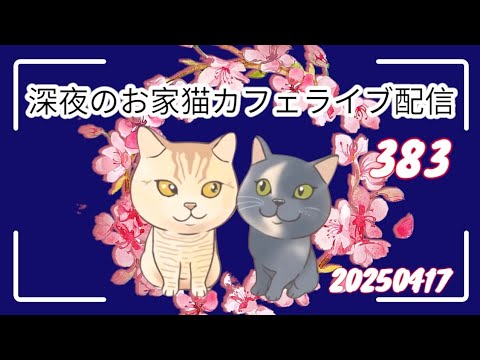 深夜のお家猫カフェライブ配信 ３８３