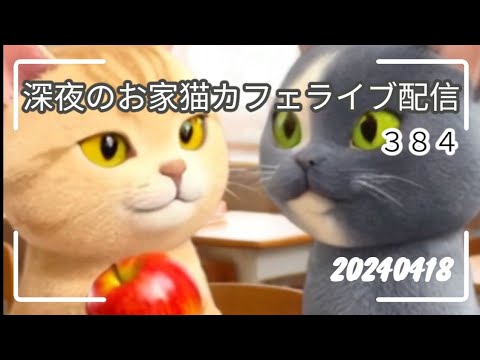 深夜のお家猫カフェライブ配信 ３８４
