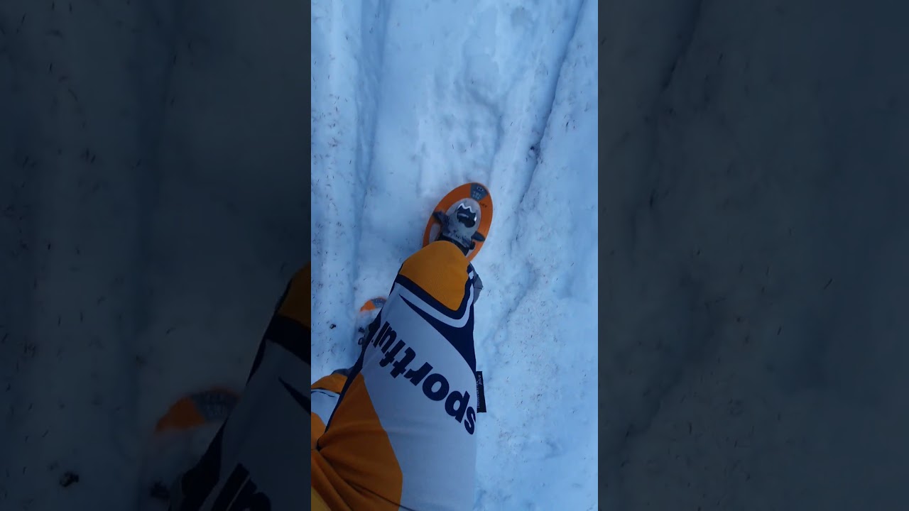 Nella FORESTA INNEVATA !!!