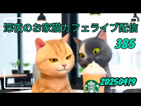 深夜のお家猫カフェライブ配信