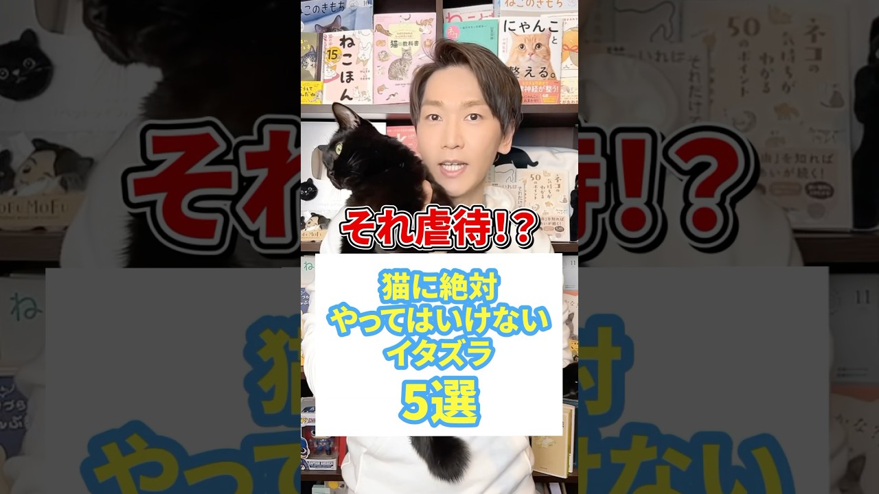 それ虐待！？猫に絶対やってはいけないイタズラ５選 #猫 #猫のいる暮らし #ねこ #猫動画