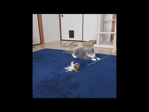 ねこじゃらしに夢中なとっくん②　猫と過ごす日々　スコティッシュフォールド