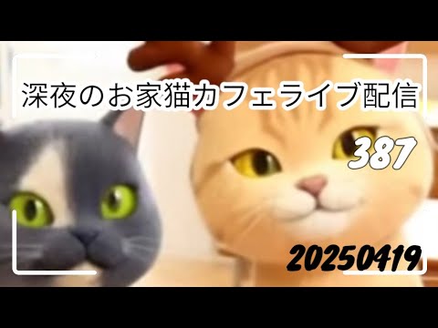 深夜のお家猫カフェライブ配信 ３８７