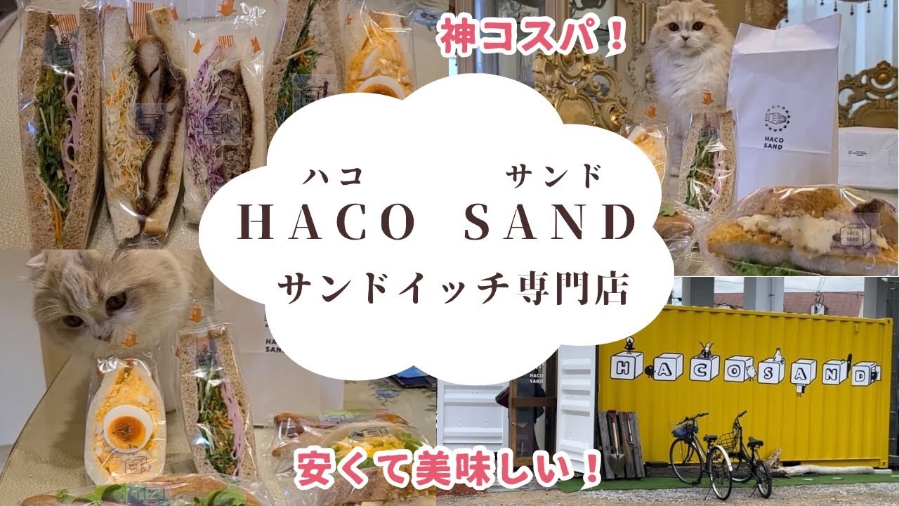 【神コスパ】サンドイッチ専門店HACO SAND 安くて美味しい！スコティッシュフォールド/Sandwich specialty shop