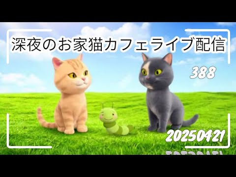深夜のお家猫カフェライブ配信 ３８８