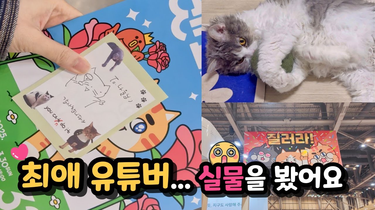 최애 유튜버 실물 처음 봤는데... 울뻔했어요