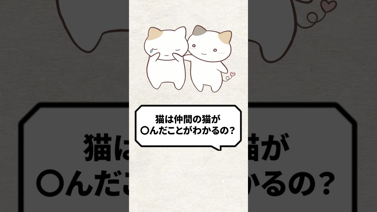 Q：猫は仲間猫が○んだら分かる？ #猫 #猫のいる暮らし #保護猫 #ねこ