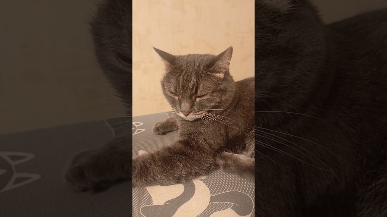 19 апреля 2025 г.