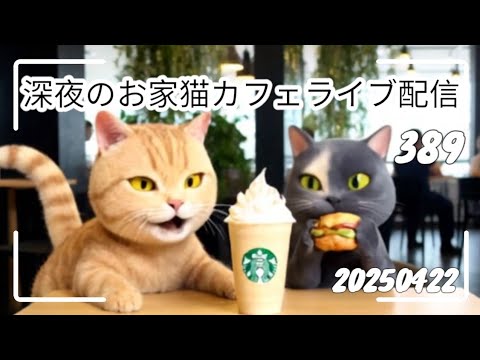 深夜のお家猫カフェライブ配信３８９