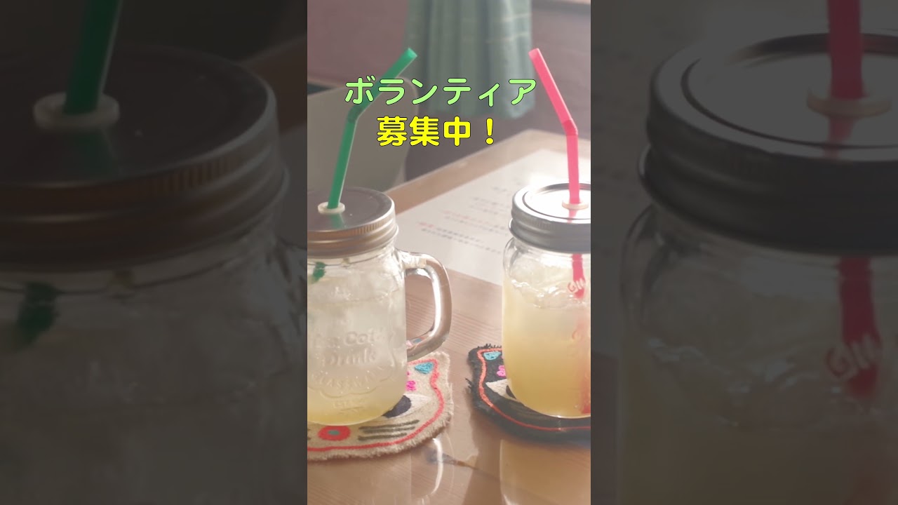 【保護猫カフェ】ボランティア募集 #shorts