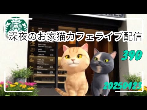深夜のお家猫カフェライブ配信 ３９０