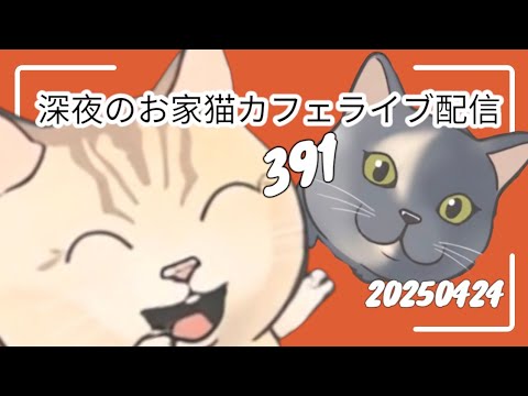 深夜のお家猫カフェライブ配信 ３９１