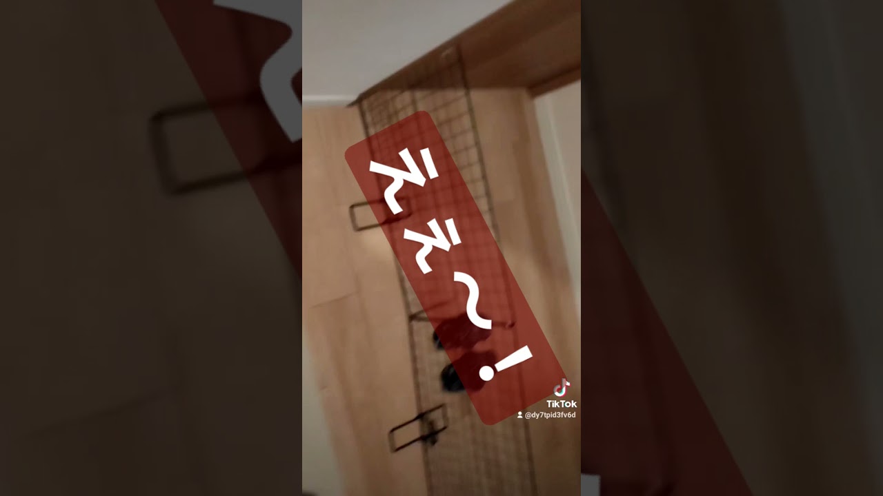 脱走防止用の柵を玄関前に展開しています笑
