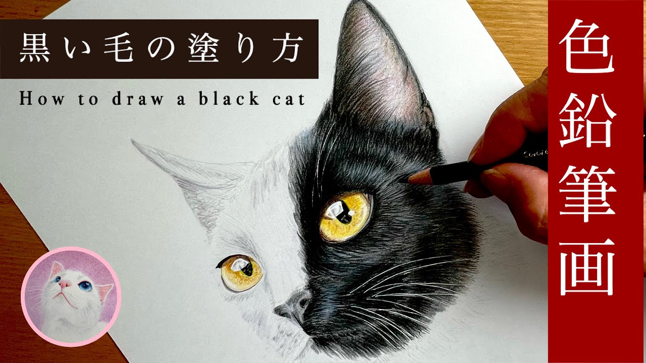 【色鉛筆画】猫の描き方　黒猫を描く時の3つのポイント　How to draw realistic fur with colored pencil ​⁠（Black Cat）