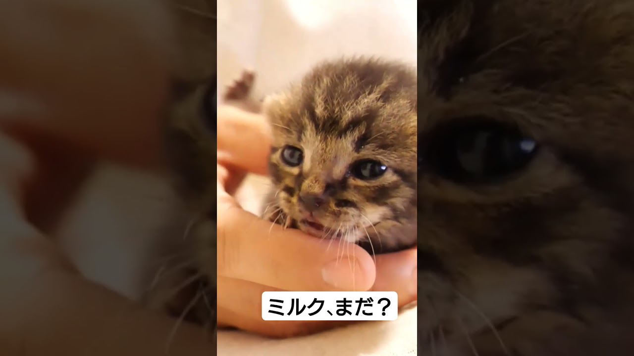 まだかなまだかな?ミルクはまだかな？
