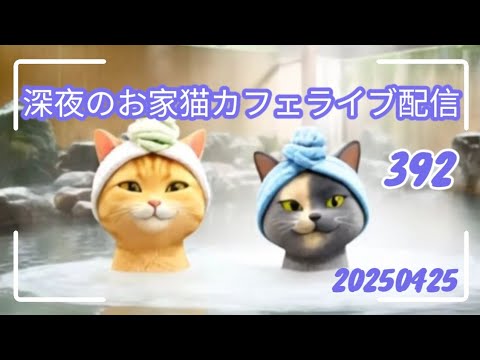 深夜のお家猫カフェライブ配信 ３９３