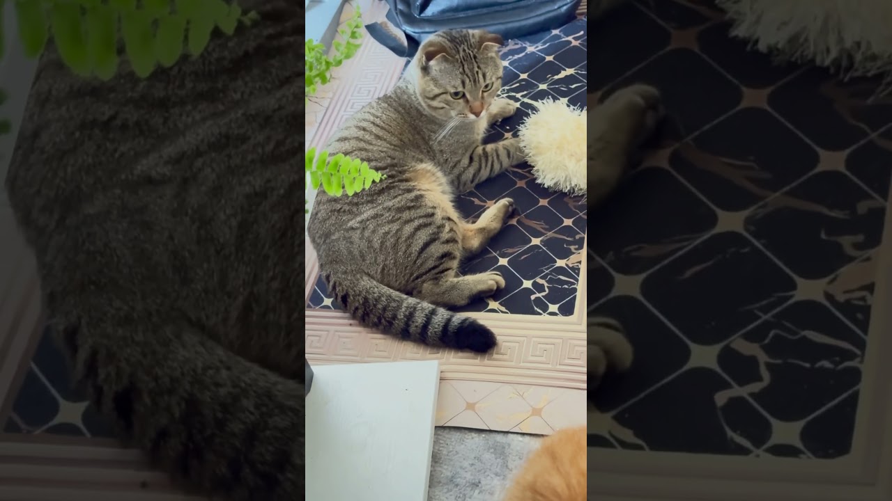 22 апреля 2025 г.