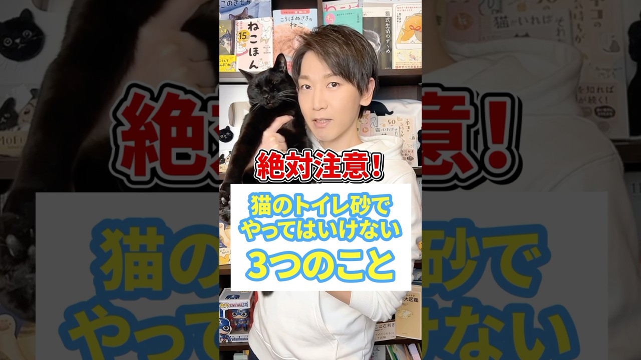 絶対注意！猫のトイレ砂でやってはいけない３つのこと #PR #猫 #猫のいる暮らし #ねこ #プレミアムサンド