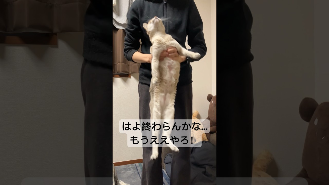 揺れるシンガプーラ