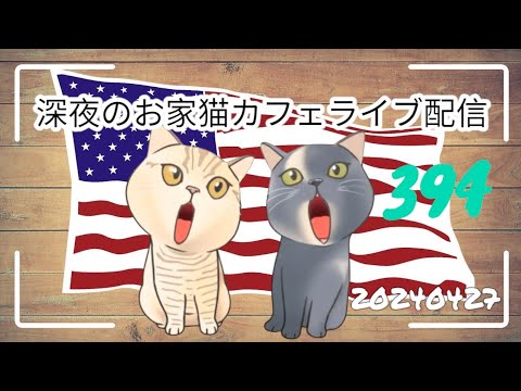深夜のお家猫カフェライブ配信 ３９４