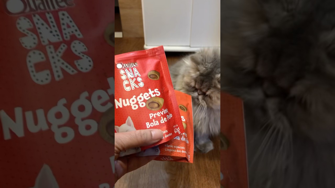 Esse é o petisco que não pode faltar para o seu gato! #gateiros #gatos #gato #pelo #vidadegato