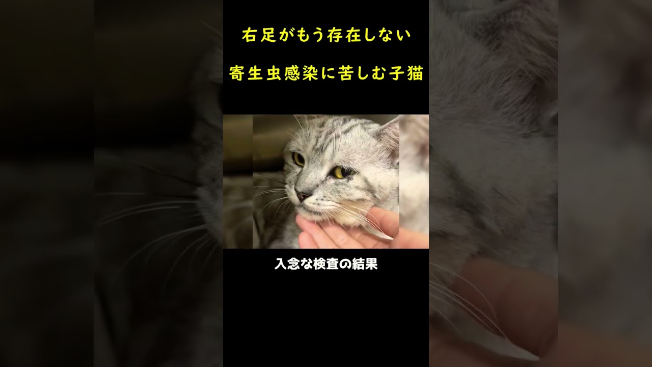 傷だらけの天使！