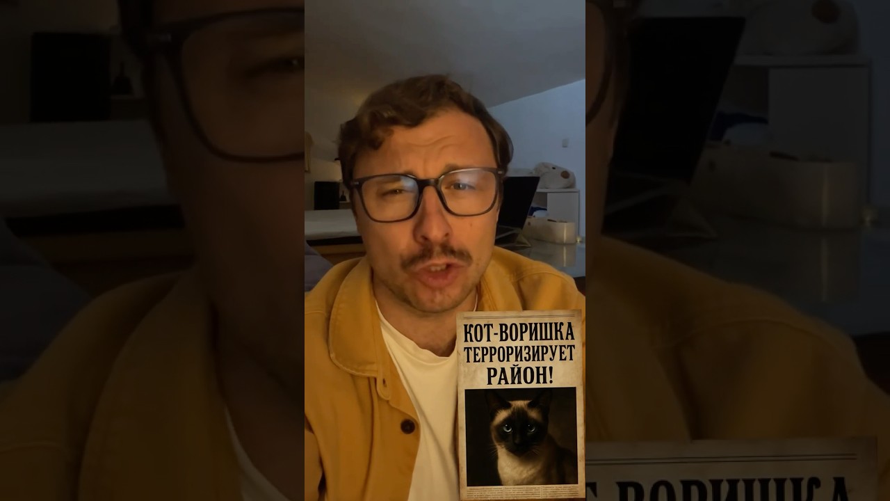 Кот ограбил соседей на $2000! #кот