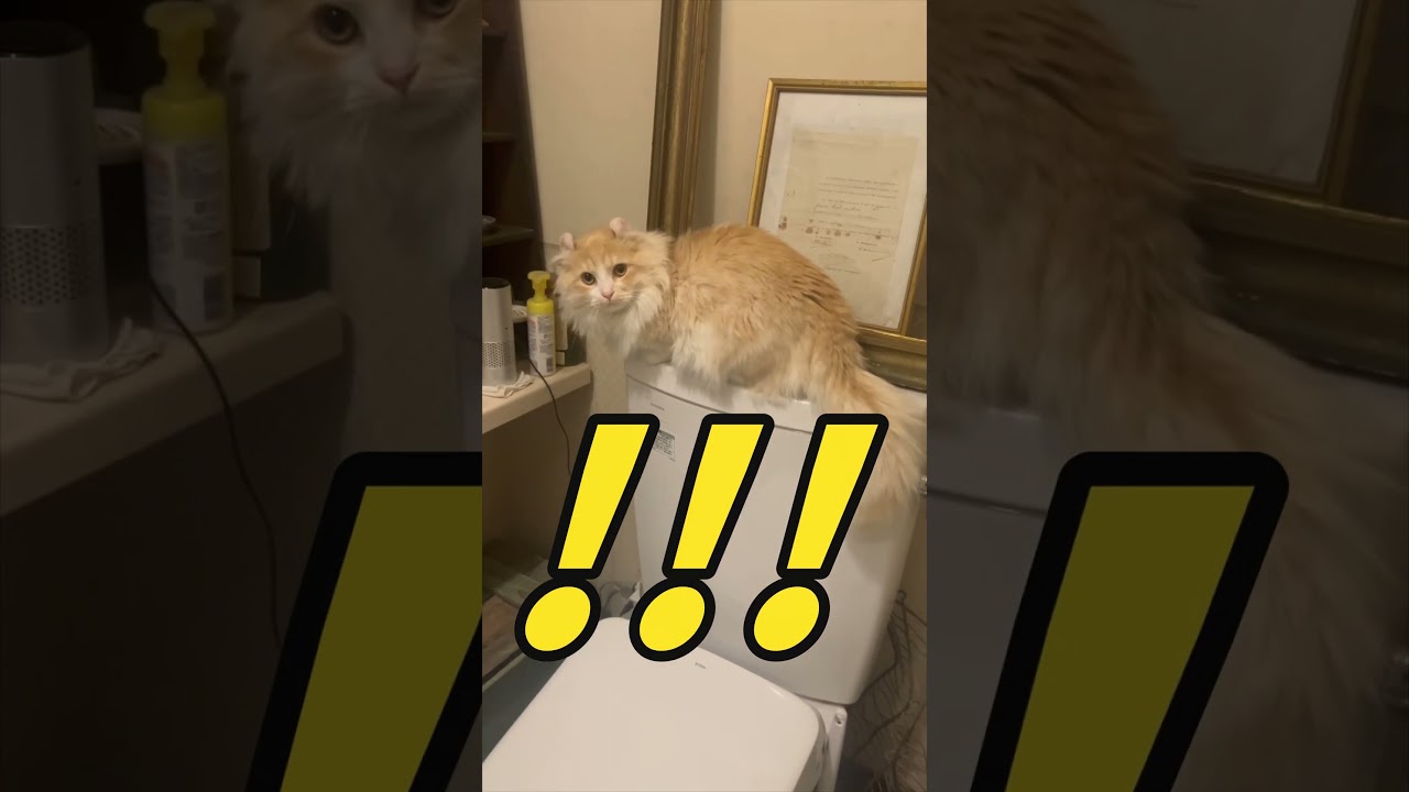 ほんとうにびっくりした