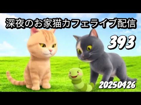 深夜のお家猫カフェライブ配信 ３９３