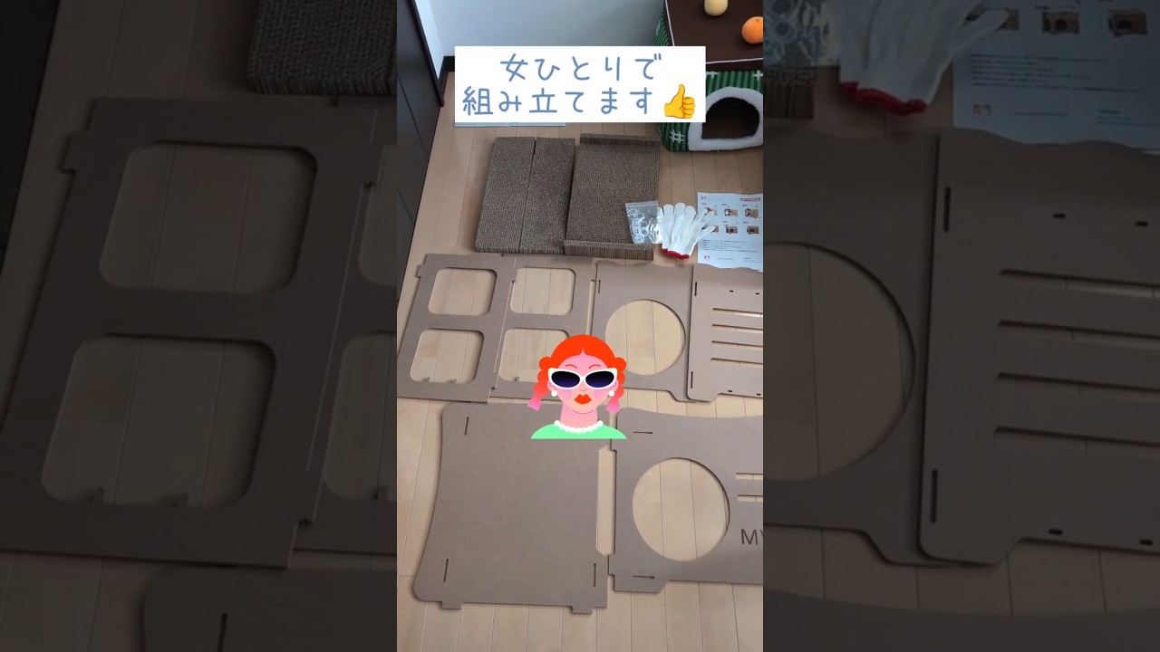 猫ハウス作ってみた【前編】 #shorts #short #cat #猫 #ねこ #マンチカン #ノルウェージャンフォレストキャット #고양이 #pusa #kucing #बिल्ली #猫ハウス