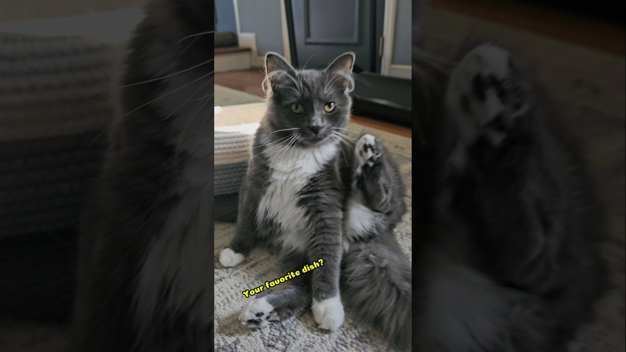 Please don't say I'm stupid. My first language is Korean