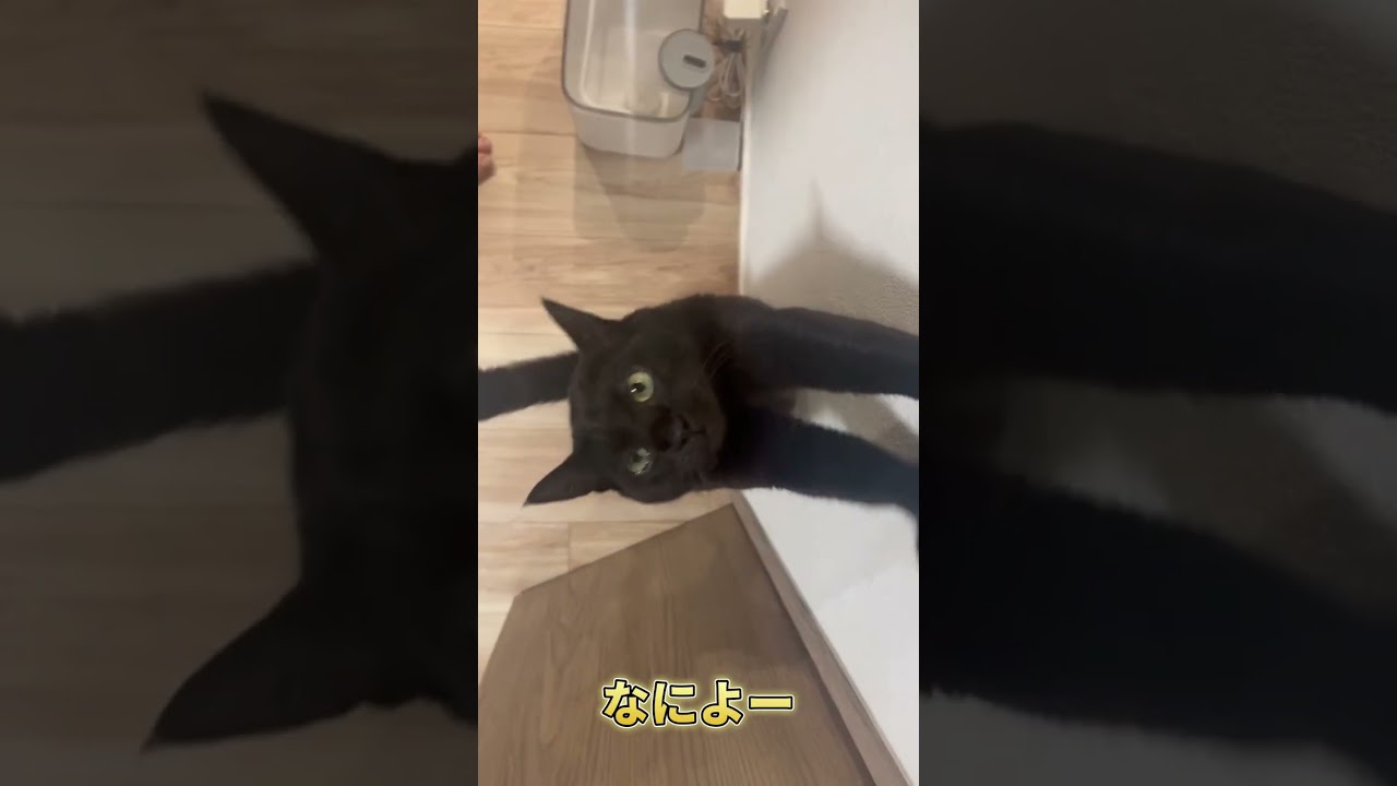 忙しなく過ぎる毎日に